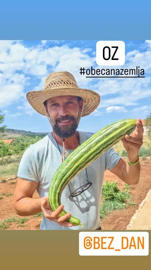 Oz - Obecana Zemlja Permaculture Homestead ブラガイ エクステリア 写真